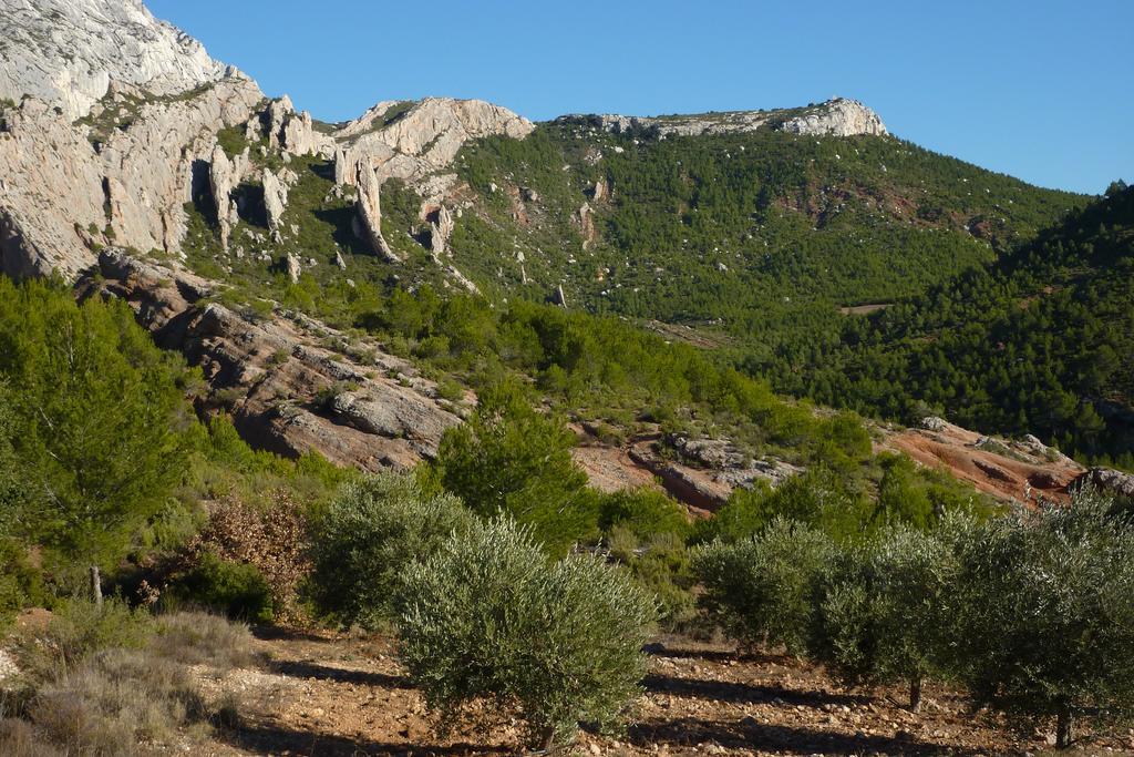 La Ferme Panzió Saint-Marc-Jaumegarde Kültér fotó